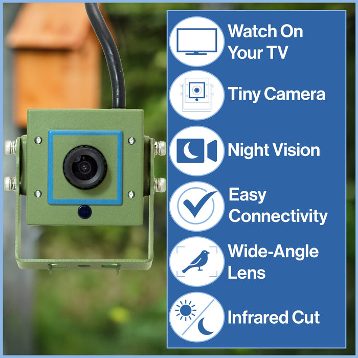 Cable Connection Bird Box Camera Starter Pack