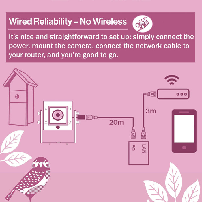 4MP Wired Network Camera for Birdbox & Wildlife Habitats (25fps) PoE Version - Summer Special Offer - 13% OFF