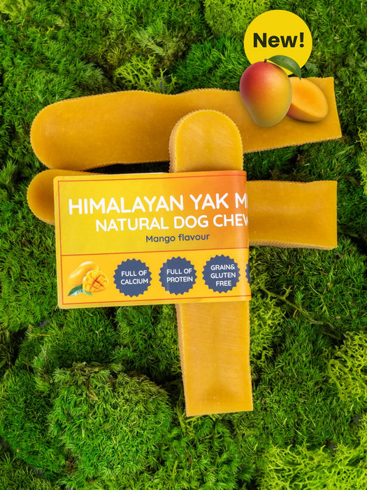 Mango Yak Dog Chew