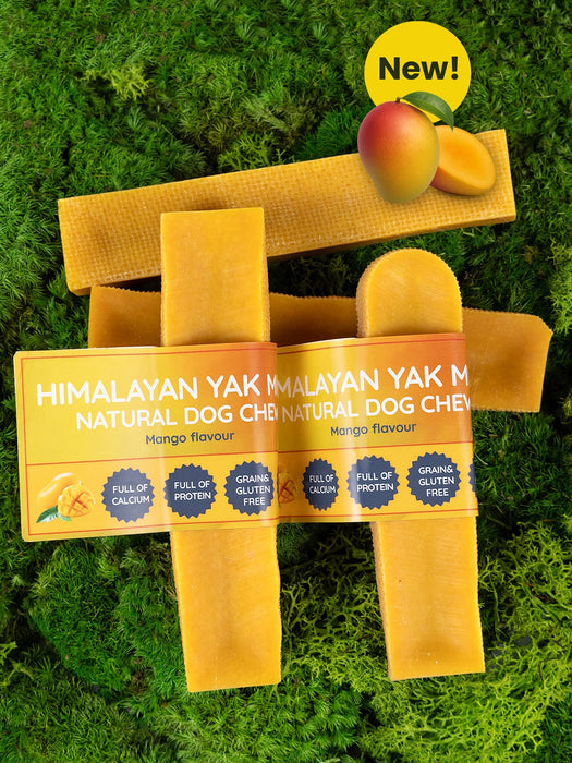 Mango Yak Dog Chew