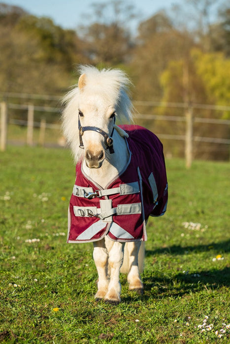 Swish Mini 0g Turnout Rug – Burgundy