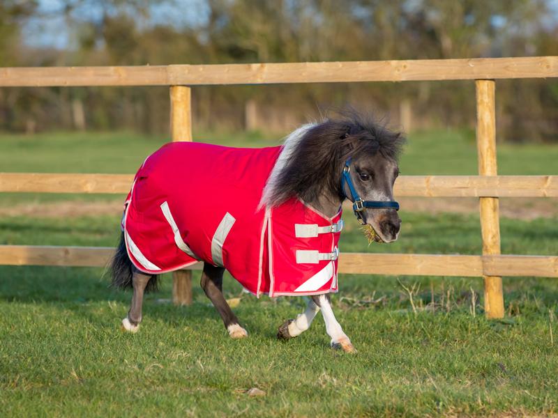 Swish Mini 200g Turnout Rug – Red