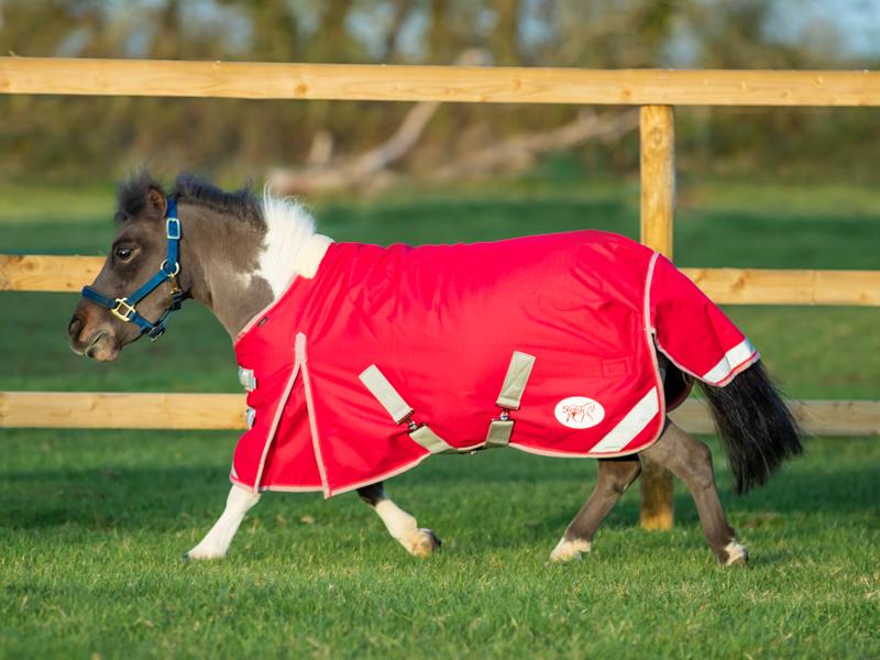 Swish Mini 200g Turnout Rug – Red