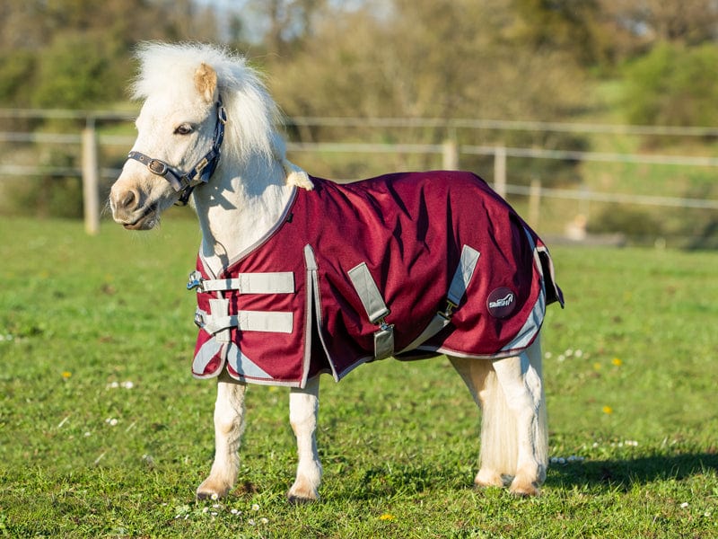 Swish Mini 0g Turnout Rug – Burgundy