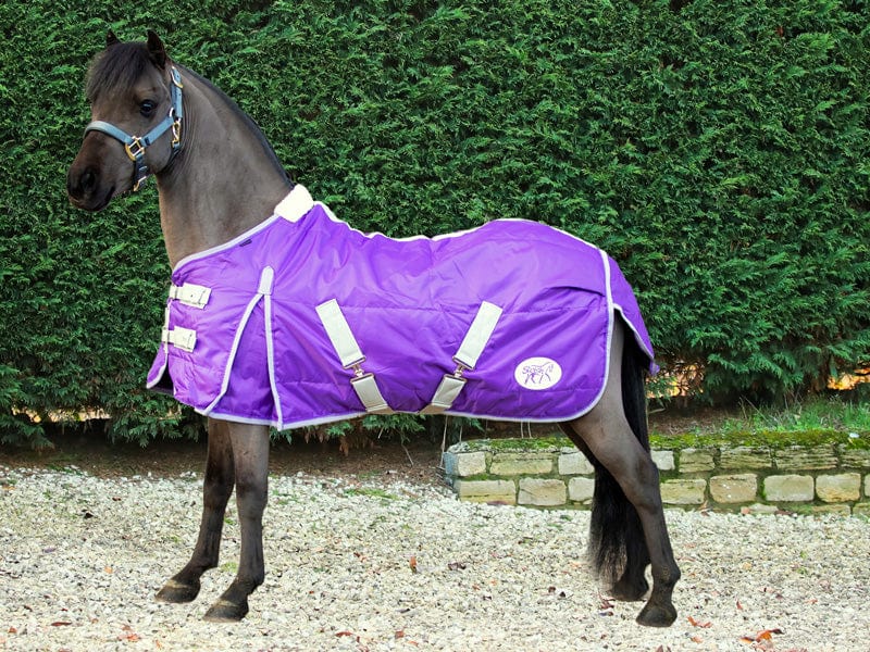 Swish Mini 100g Stable Rug – Purple