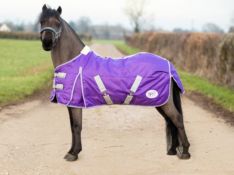 Swish Mini 100g Stable Rug – Purple