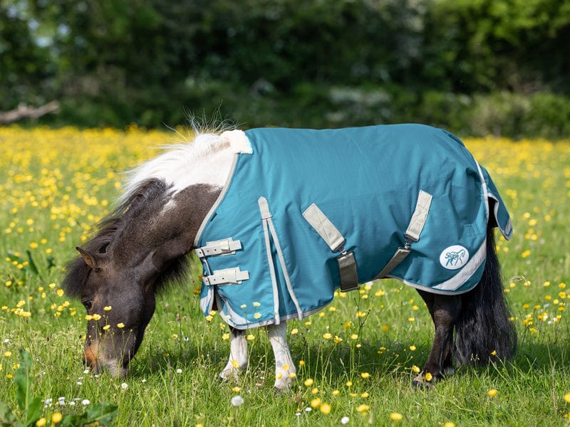 Swish Mini 100g Turnout Rug – Turquoise