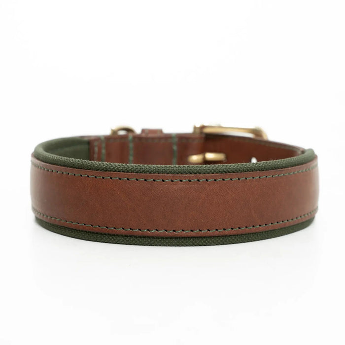 Ruff & Tumble Morston padded leather dog collar in Olive