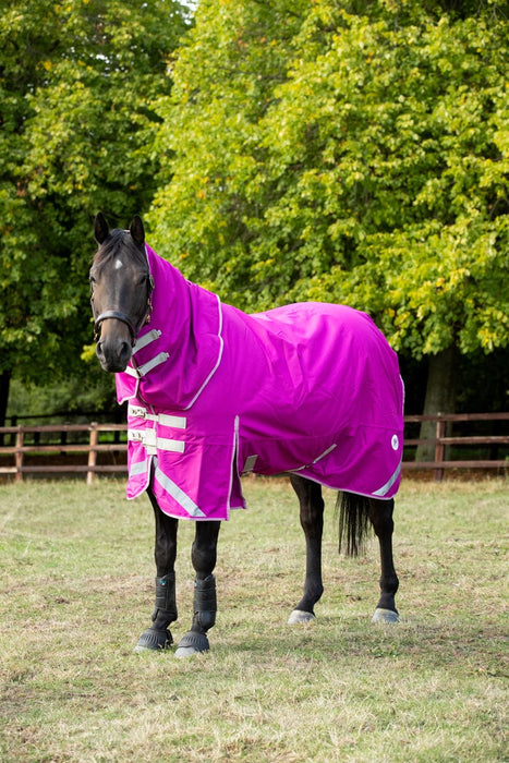 200G Detachable Neck Turnout Rug - Mulberry