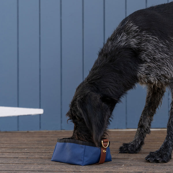 Ruff & Tumble Foldable Travel Dog Bowl – Various Colours