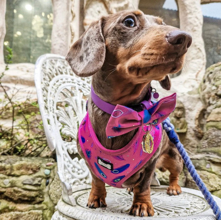Peacock Power Adjustable Dog Harness - hot pink peacock feather dog harness
