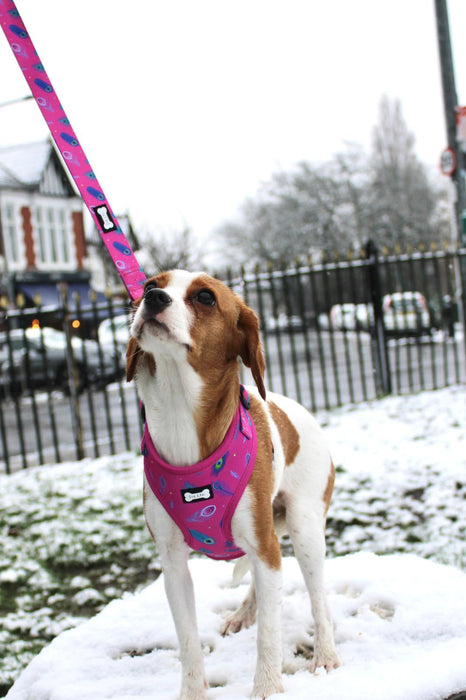Peacock Power Adjustable Dog Harness - hot pink peacock feather dog harness