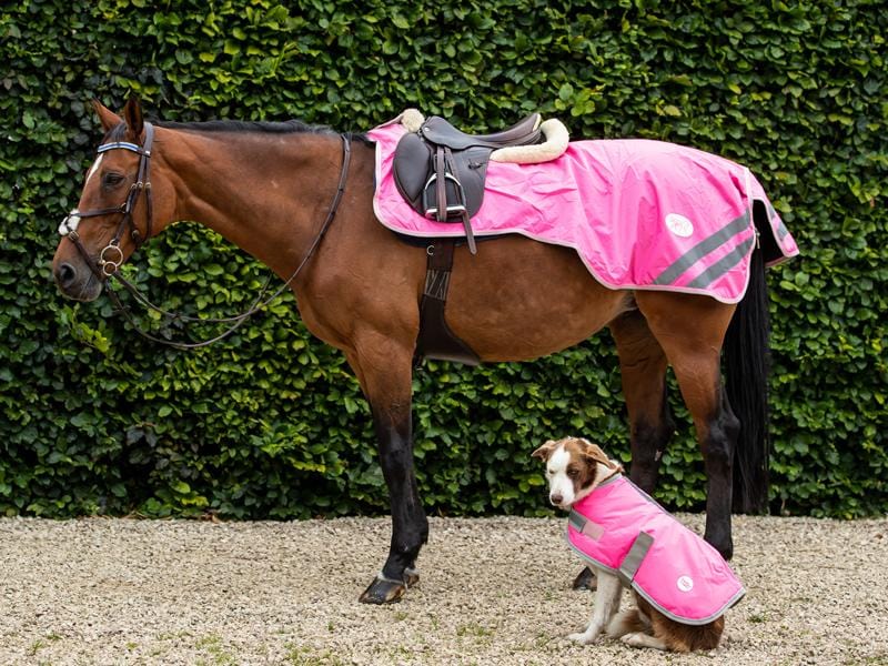 Swish Waterproof Exercise Sheet – High-Visibility Pink