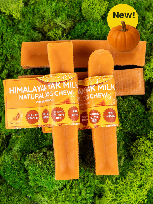 Pumpkin Yak Dog Chew