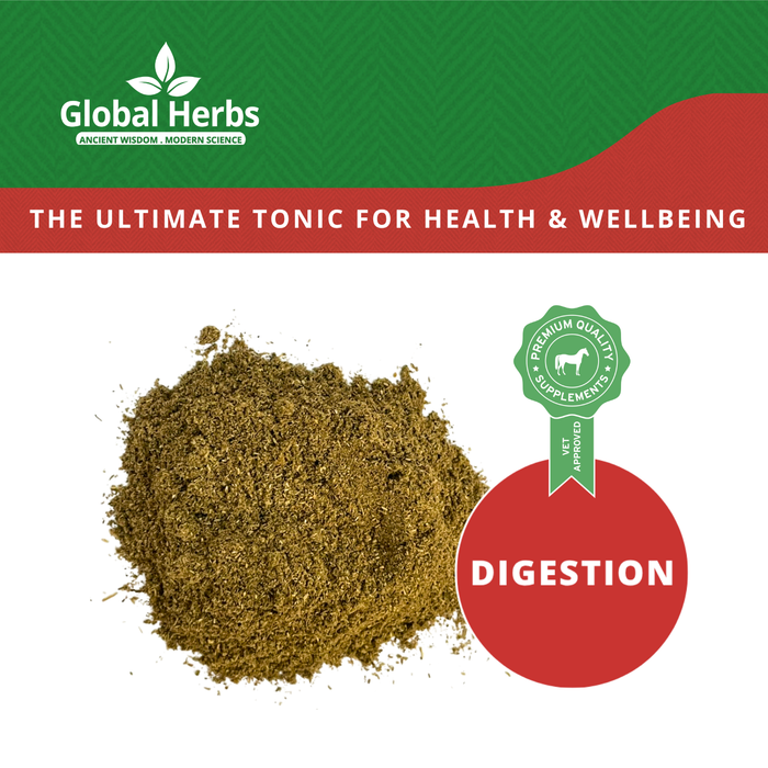 Global Herbs Restore Powder Refill Pouch 750g