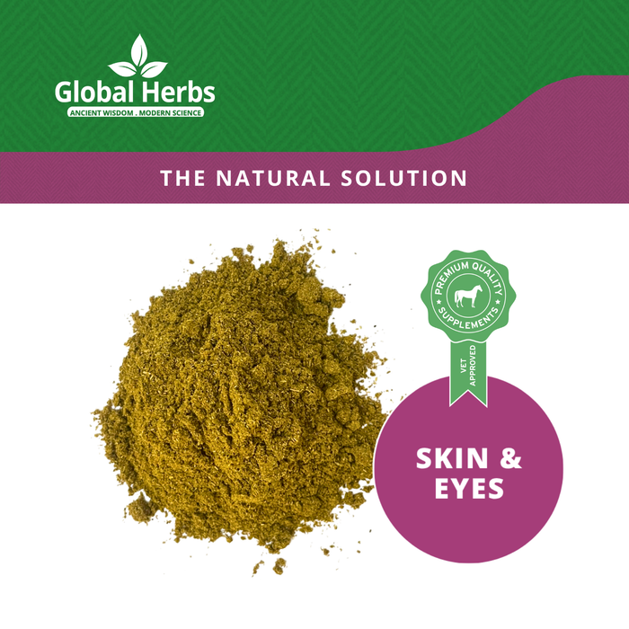 Global Herbs Sarc-Ex Refill Pouch 750g