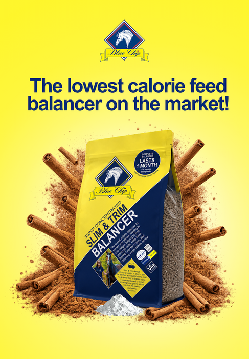 Blue Chip Slim & Trim Super Concentrated Low Calorie Balancer 3kg