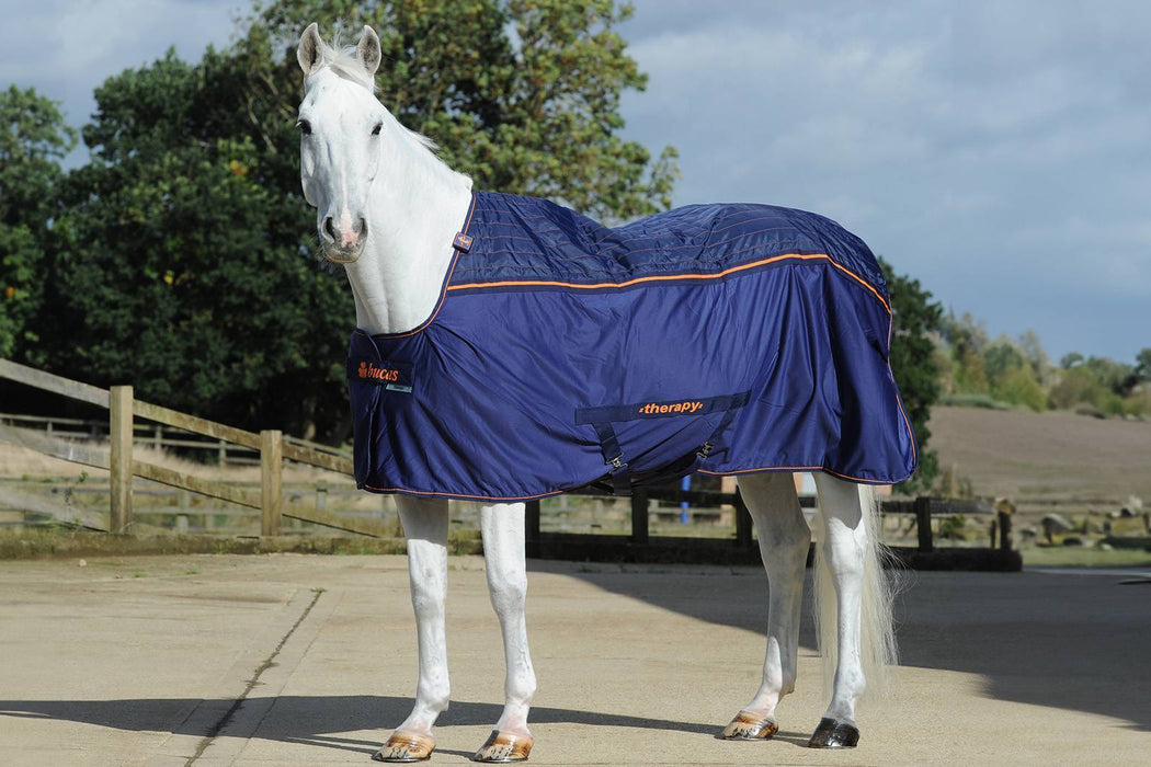 BUCAS THERAPY COOLER -  Navy/Orange