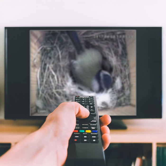 Cable Connection Bird Box Camera Starter Pack