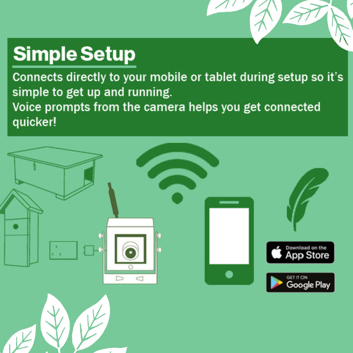 WiFi Bird Box HD Camera Starter Pack