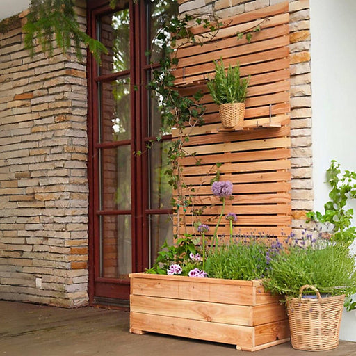 Jagram Larix larch planter with herbs and climbing plants beside a doorway