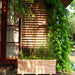 Jagram Venetian larch planter with plants beneath its louvred screen