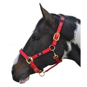 Horse Head Collar - Hy Deluxe Padded Head Collar - Red - Full