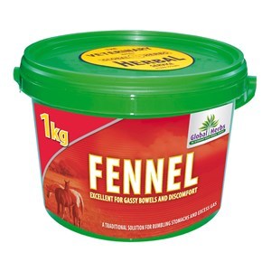 Global Herbs Fennel - 1 kg