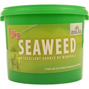 Global Herbs - Seaweed - 1.5 kg