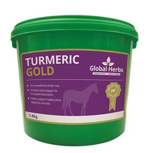 Global Herbs - Turmeric Gold - 1.8 kg