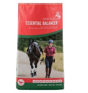 Saracen Essential Balancer - 20 kg