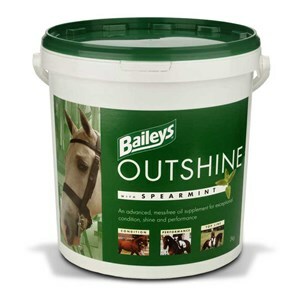 Baileys Outshine Spearmint - 5 kg