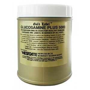 Gold Label Glucosamine Plus 5000 - 900 g     