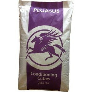 Pegasus Conditioning Cubes - 20 kg     