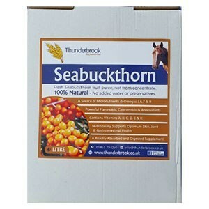 Thunderbrook Seabuckthorn  - 5 L       
