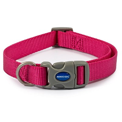 Ancol Raspberry Adjustable Nylon Dog Collar - Various Sizes