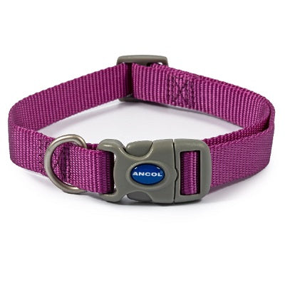 Ancol Viva Adjustable Quick Fit Collar Purple - Various Sizes