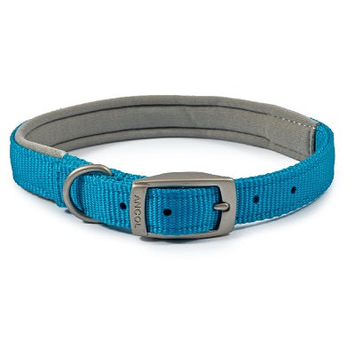 Ancol Viva Padded Buckle Collar Blue - Various Sizes