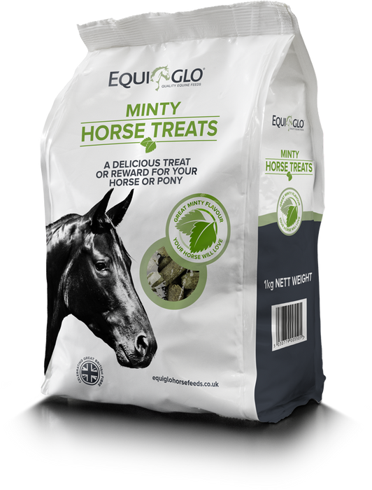Mr Johnsons Equiglo Horse Treats & Herbs - 1 kg
