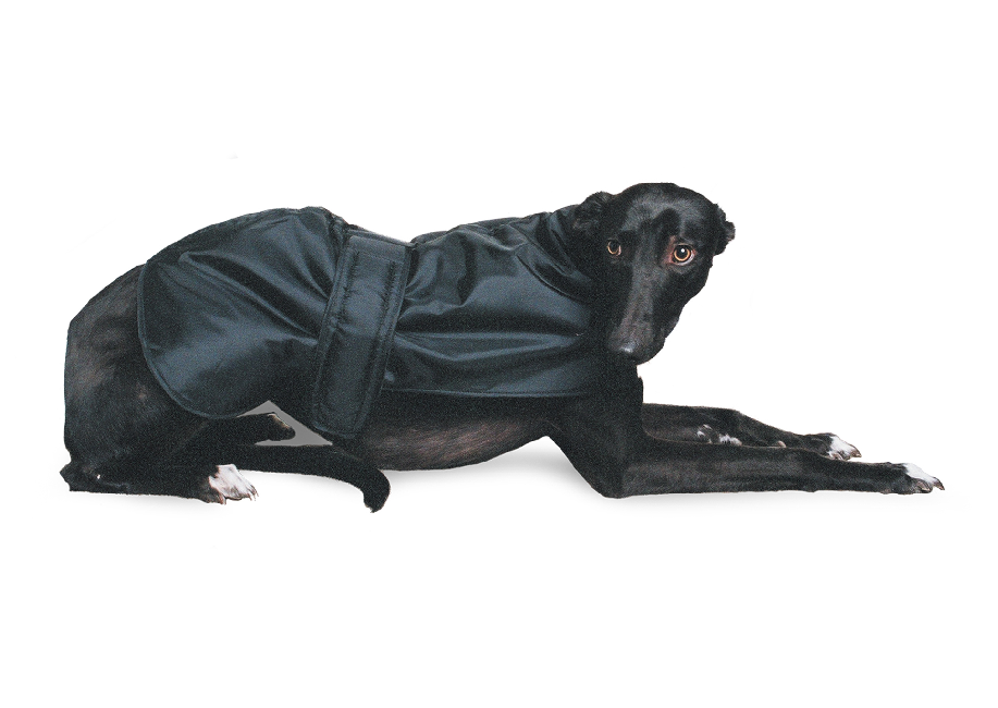 Ancol Greyhound Coat Black