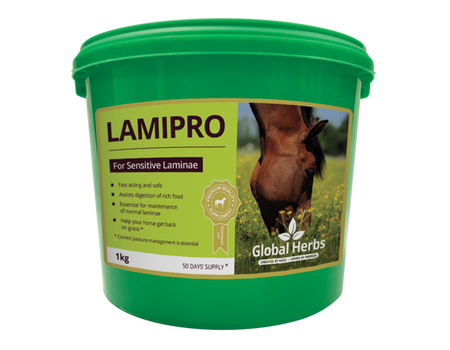 Global Herbs LamiPro Supplement 1kg