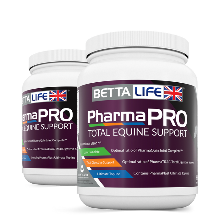 BETTAlife PharmaPro Total Equine Support - 1 kg