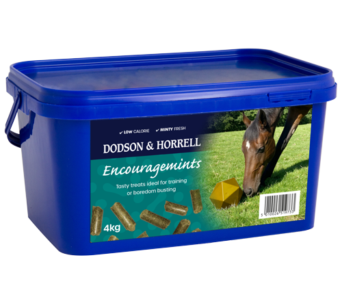 Dodson & Horrell Encouragemints - 4 kg