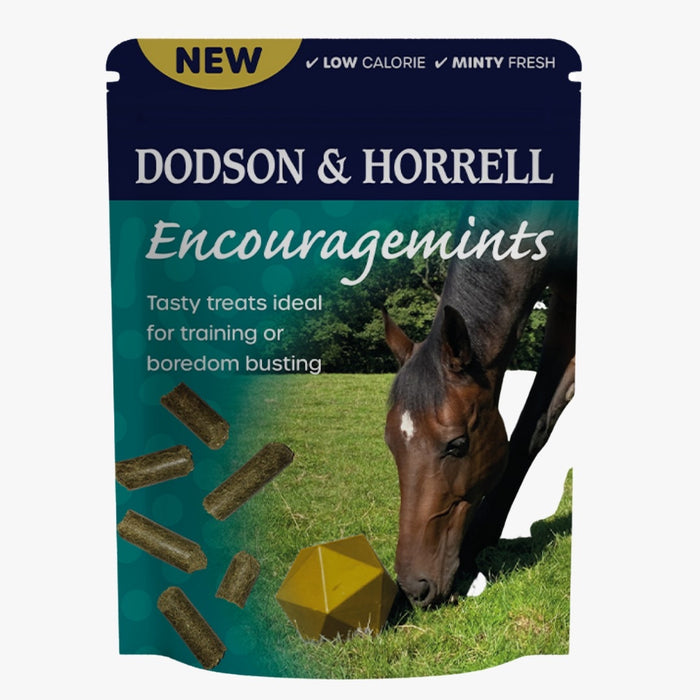Dodson & Horrell Encouragemints - 750 g