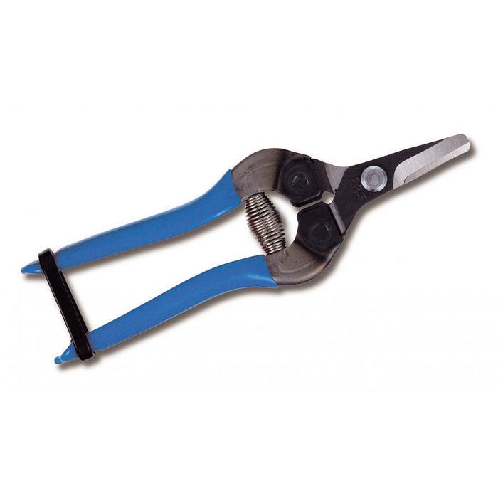 FRUIT PICKING SHEARS - SHORT ROUND CURVED BLADES - 160mm - BLUE GRIP