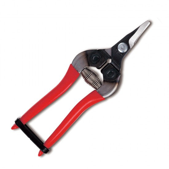 FRUIT PICKING SHEARS -  SHORT ROUND CURVED BLADES - BLACK FINISH - 160mm -  RED GRIP