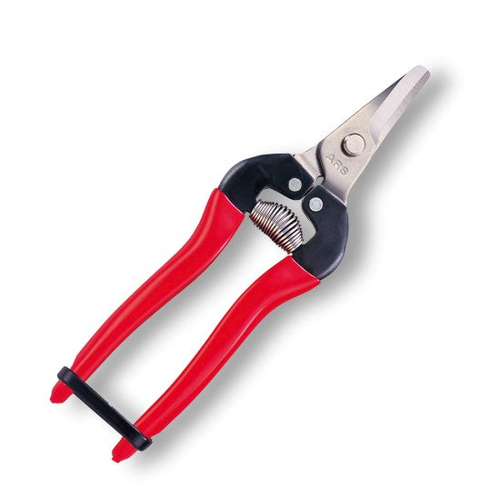 FRUIT PICKING SHEARS -  SHORT ROUND CURVED STAINLESS BLADES - 170mm -  RED GRIP
