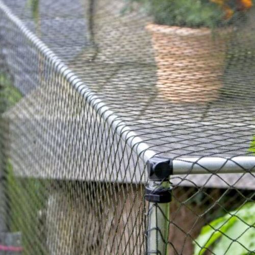 900mm Erected Height Veg Netting Cage - Various Lengths and Net Options
