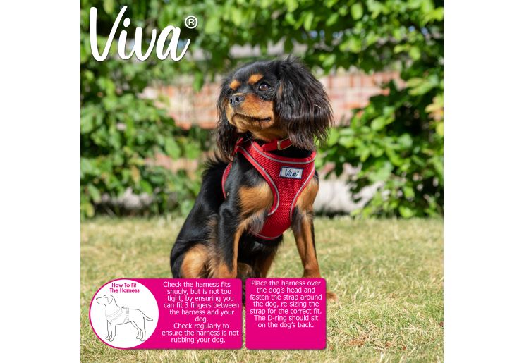 Ancol Viva Mesh Dog Harness in Lime - Various Sizes