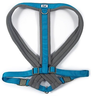 Ancol Viva Padded Harness Blue - Various Sizes